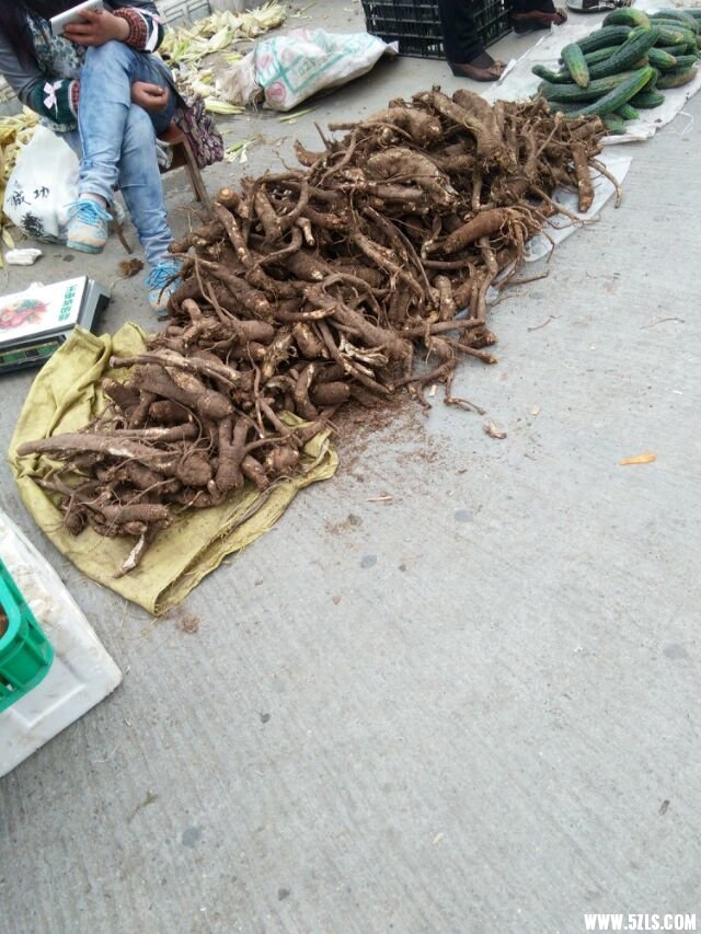 201492421354398089.jpg