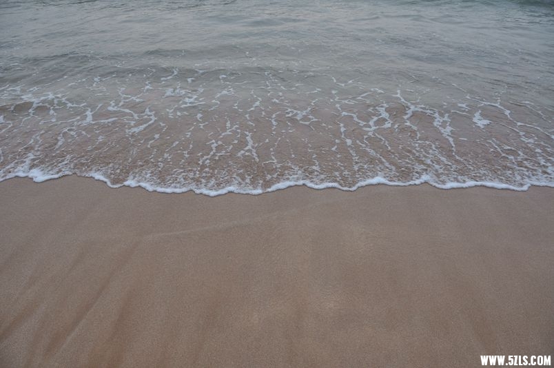 DSC_0859_.jpg