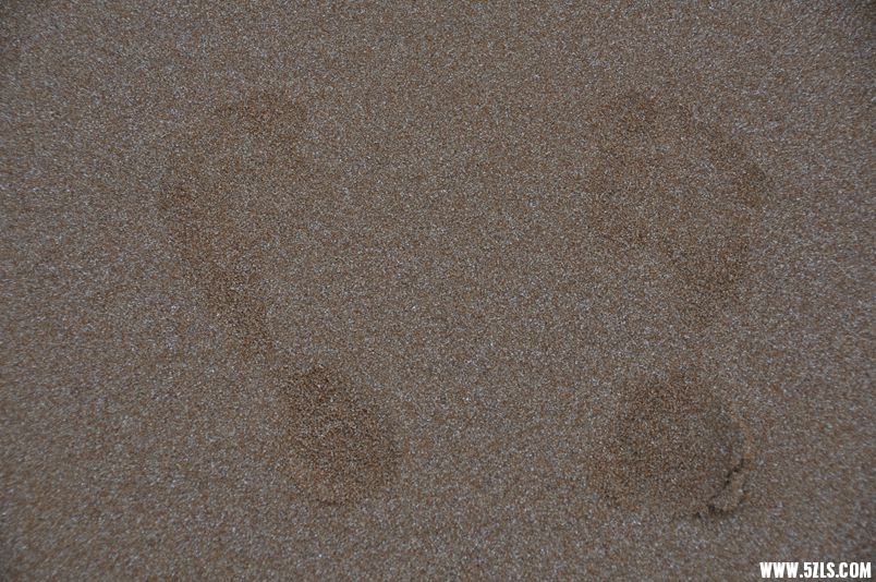 DSC_0862_.jpg