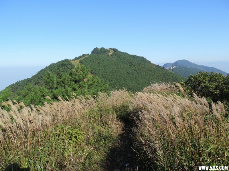 C12.JPG