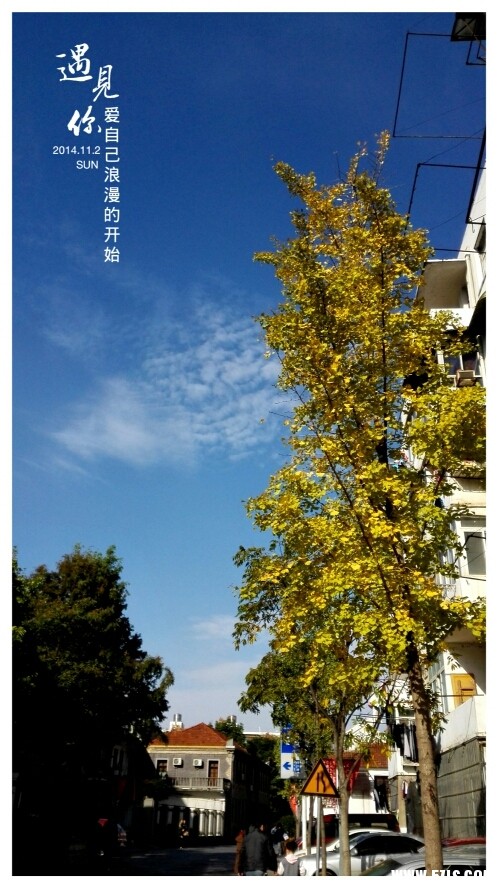 141310u8jp62i3x63be0z3.jpg