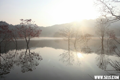 142142a056l13kjtlay5l1.jpg