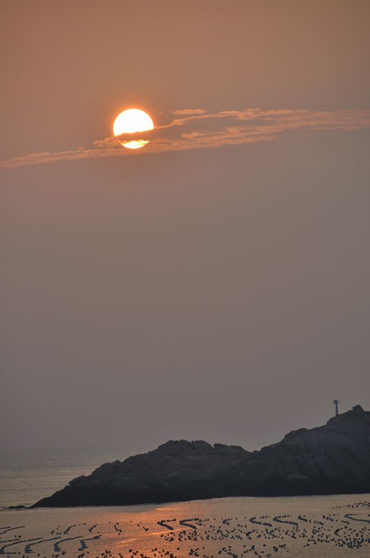 DSC_0788_.jpg