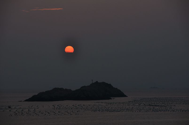 DSC_0801_.jpg