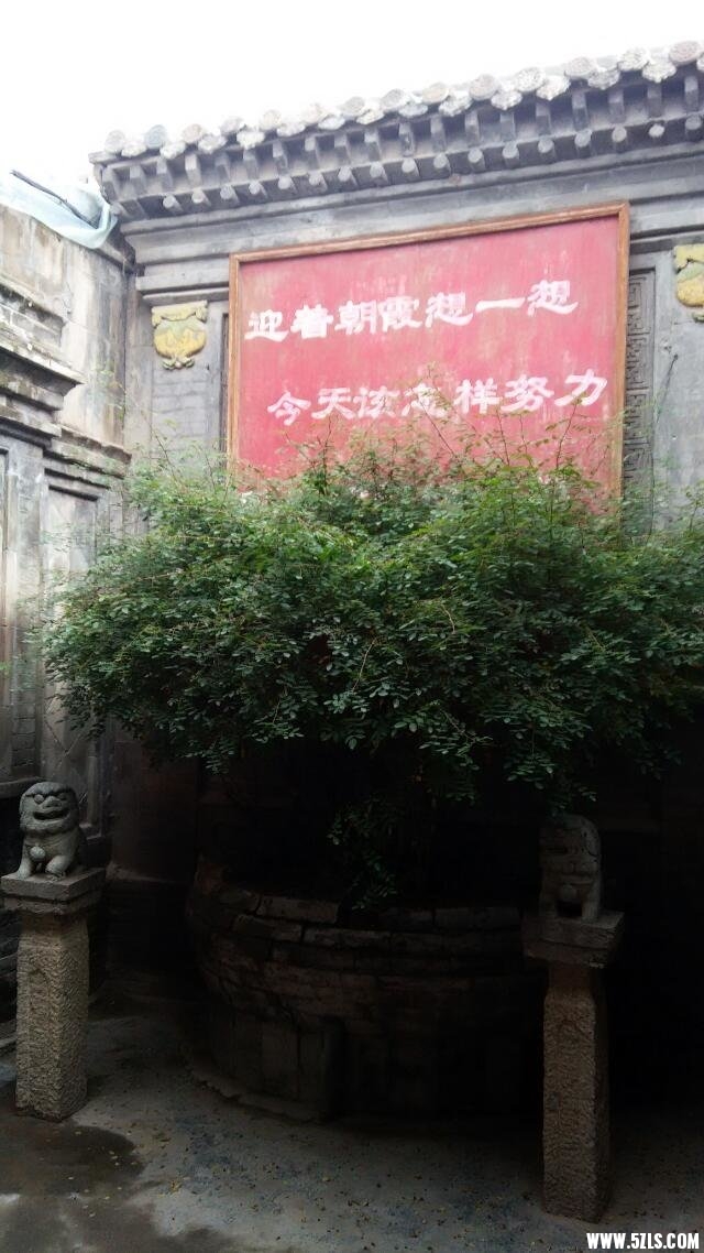 16.jpg