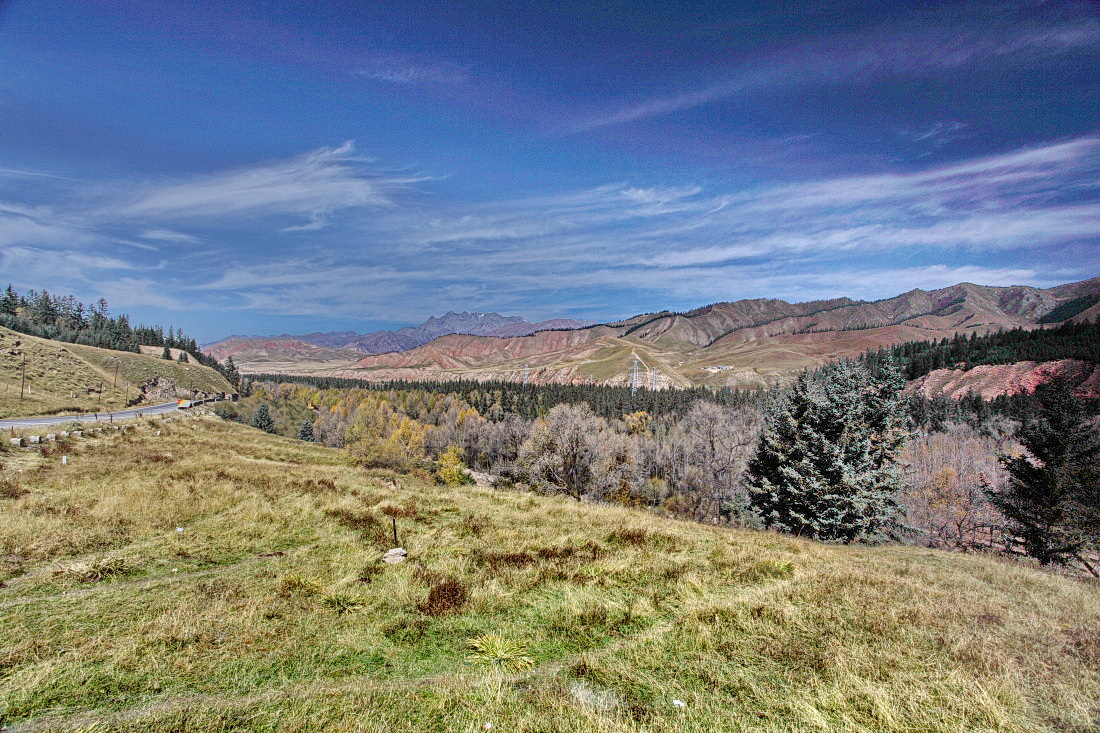 IMG_4716.JPG