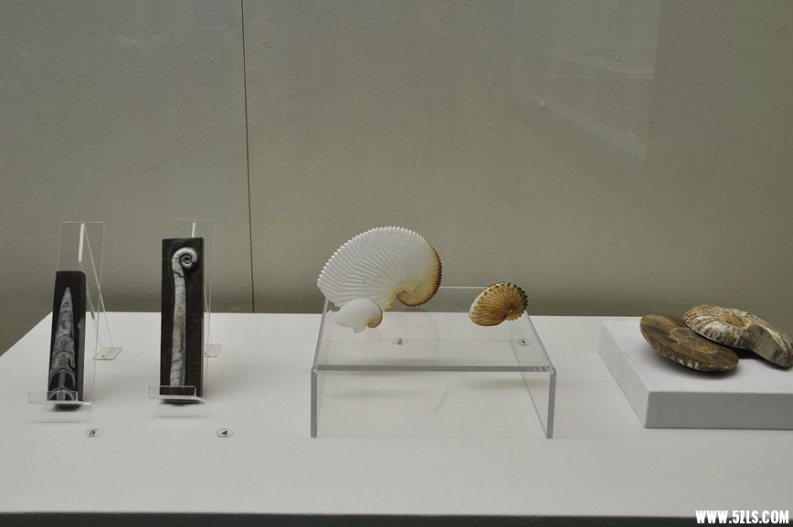 DSC_1067_副本.jpg