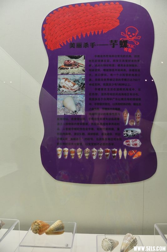 DSC_1094_副本.jpg