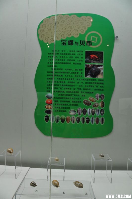 DSC_1098_副本.jpg