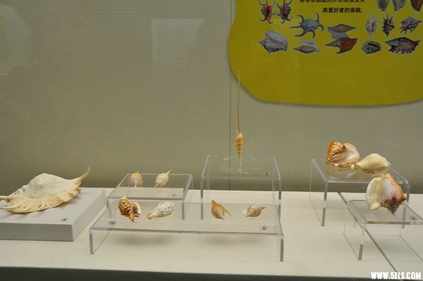DSC_1103_副本.jpg