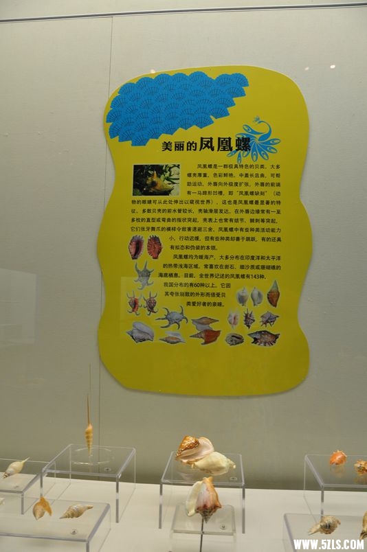 DSC_1104_副本.jpg