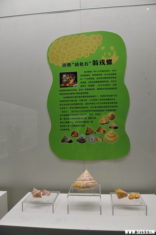 DSC_1110_副本.jpg