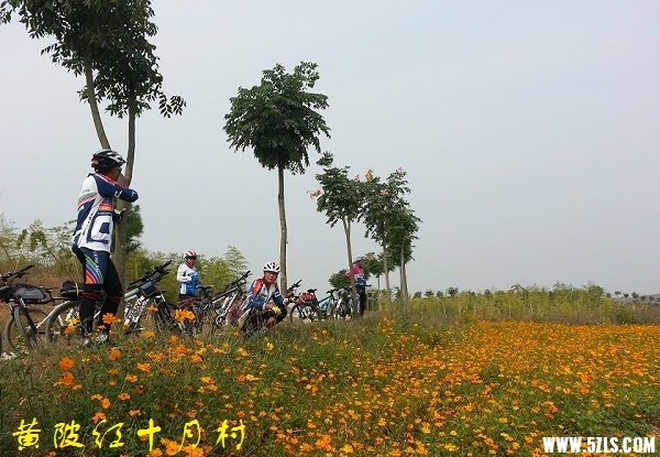 20141019_112930 - .jpg