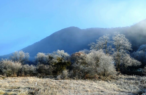 142021v0xhnhgxzqh05d9f.jpg
