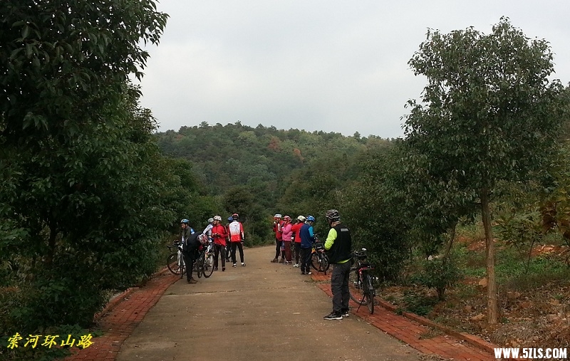 20141108_105835.jpg