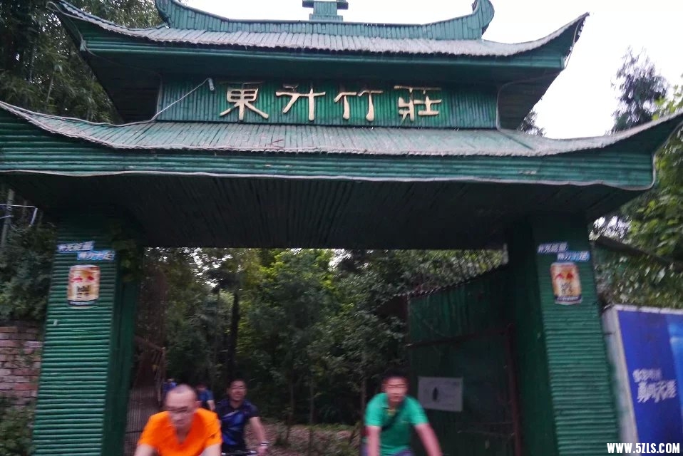 .jpg