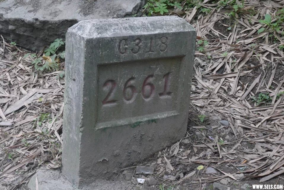 318.jpg