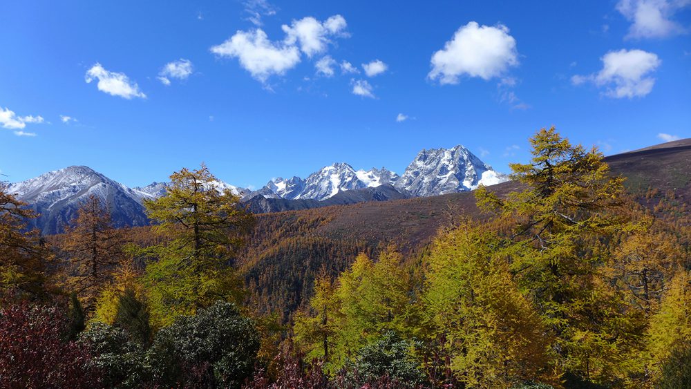 P1290872_.jpg