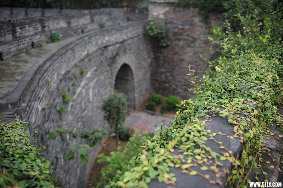 DSC_4439__.jpg