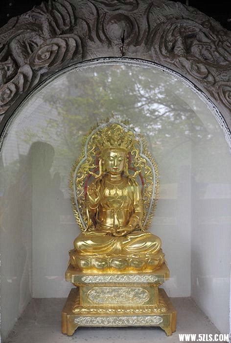 DSC_4598__.jpg