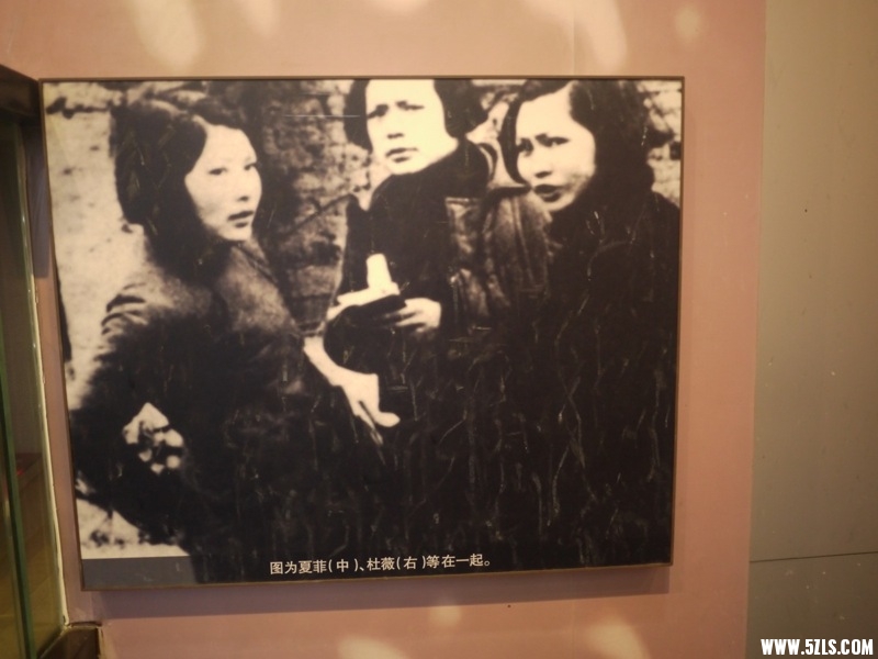 P1010033.JPG