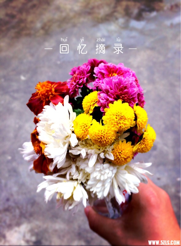 212751pggpn8q1ixqpj1sn.jpg