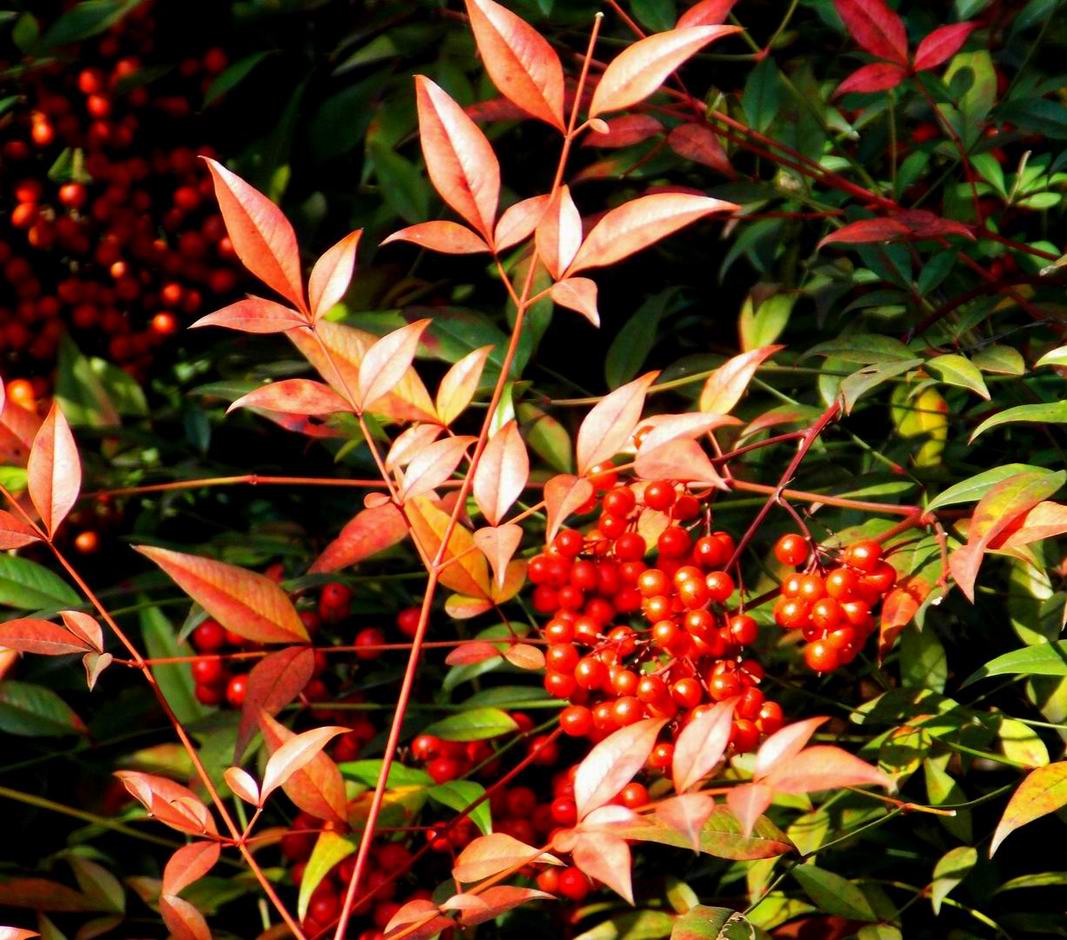 DSCN0212_.jpg