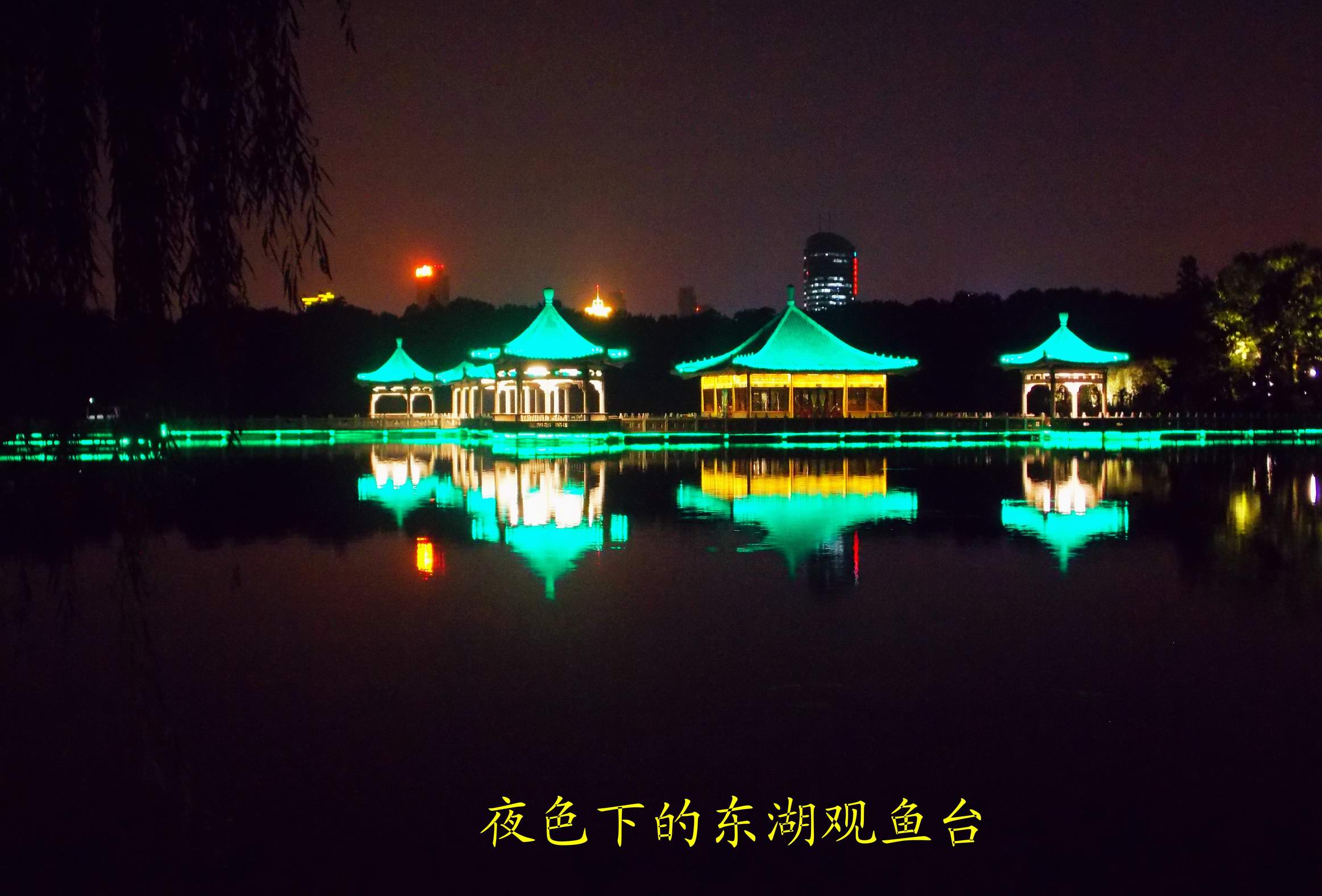DSCN9735.JPG