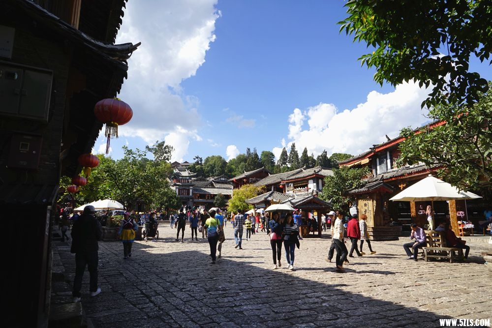 DSC08960_.jpg