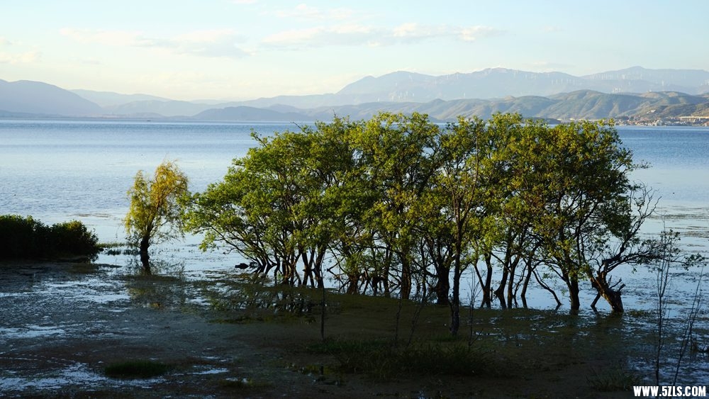 DSC09059_.jpg