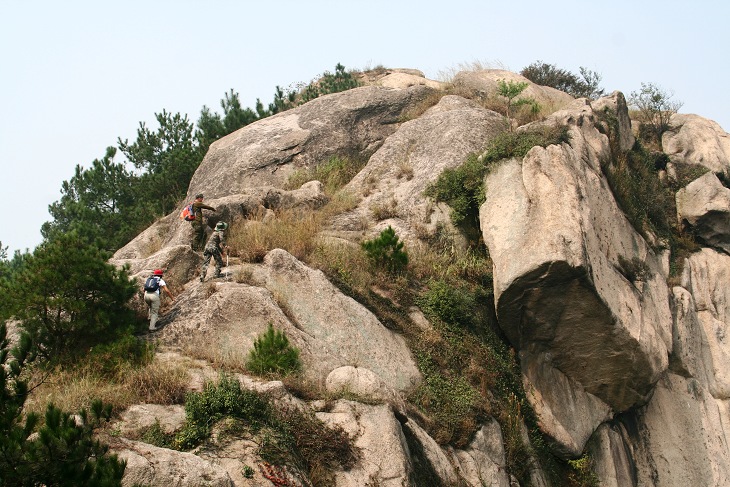200910495356.jpg