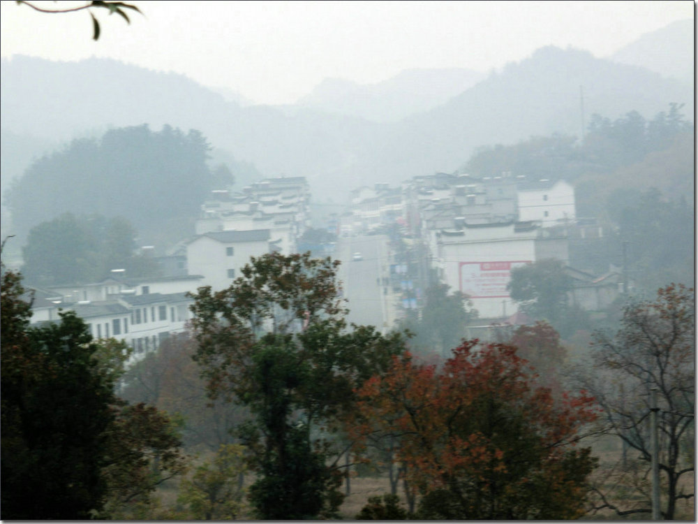 CIMG8464.JPG