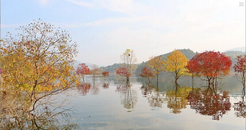 QQͼƬ20141117010741.jpg