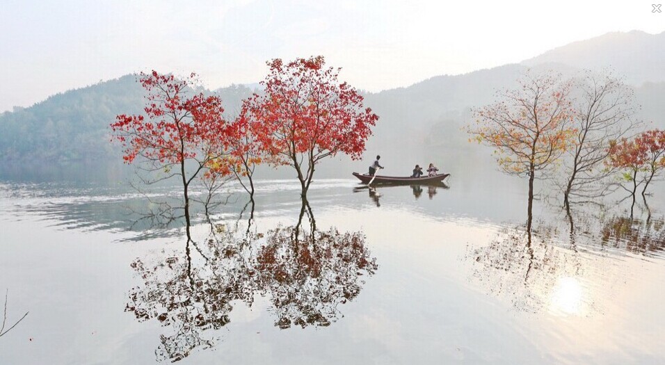 QQͼƬ20141117010712.jpg