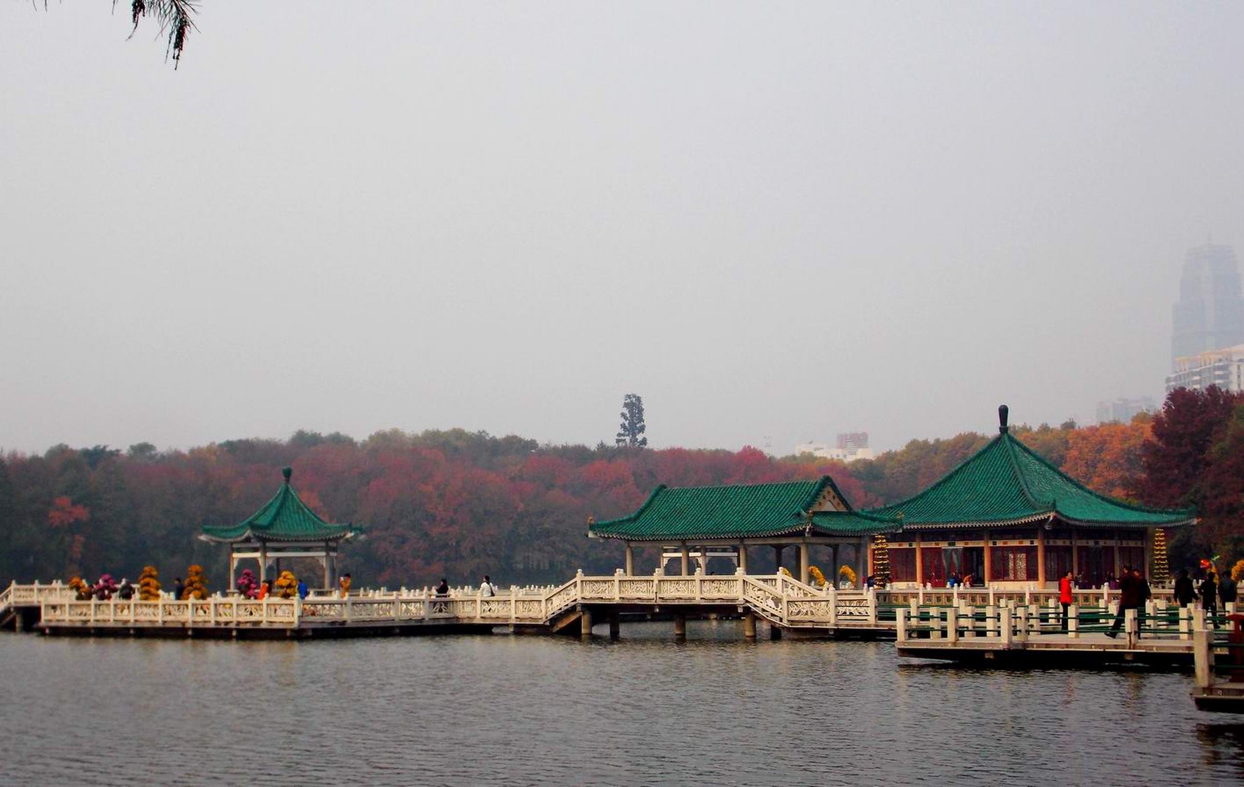 DSCN0225.JPG
