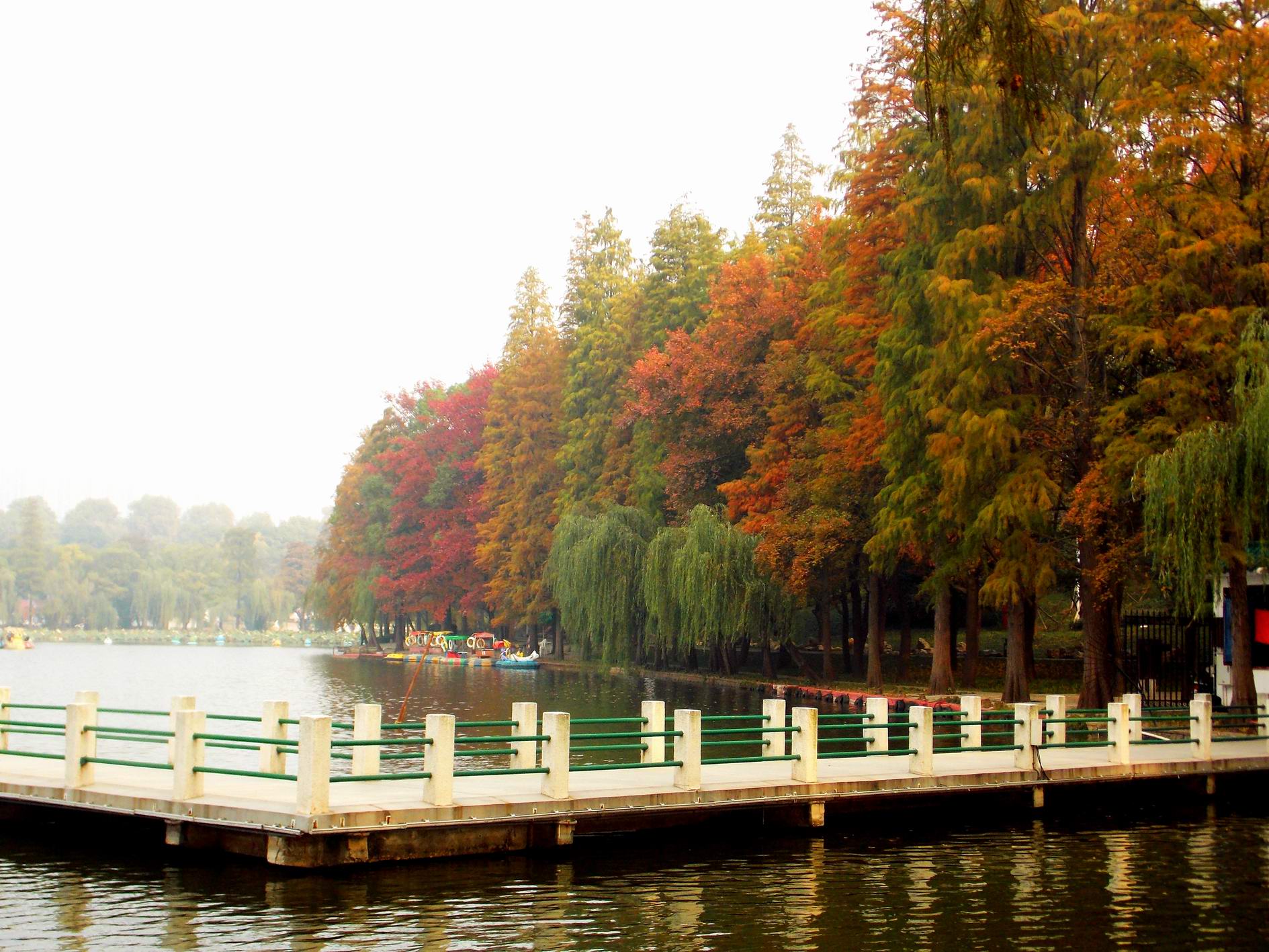 DSCN0226.JPG