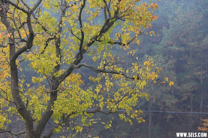 185443pjszbyb04cintgjb.JPG