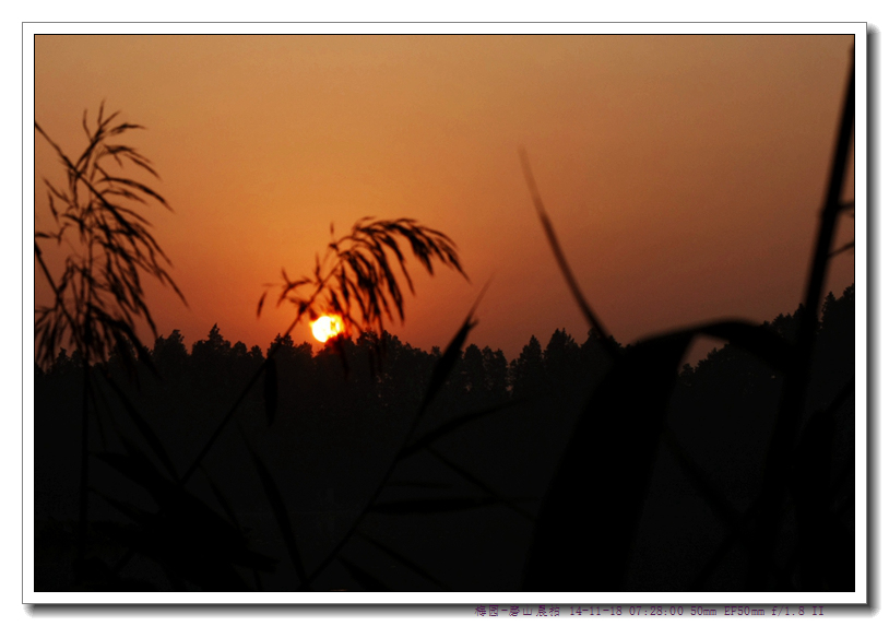 _MG_7909_.jpg