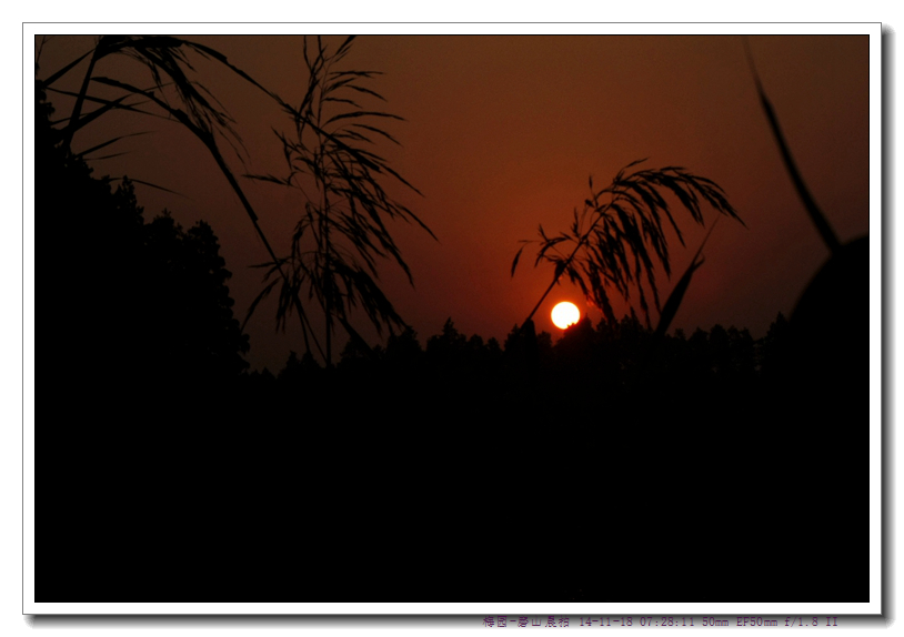 _MG_7910_.jpg