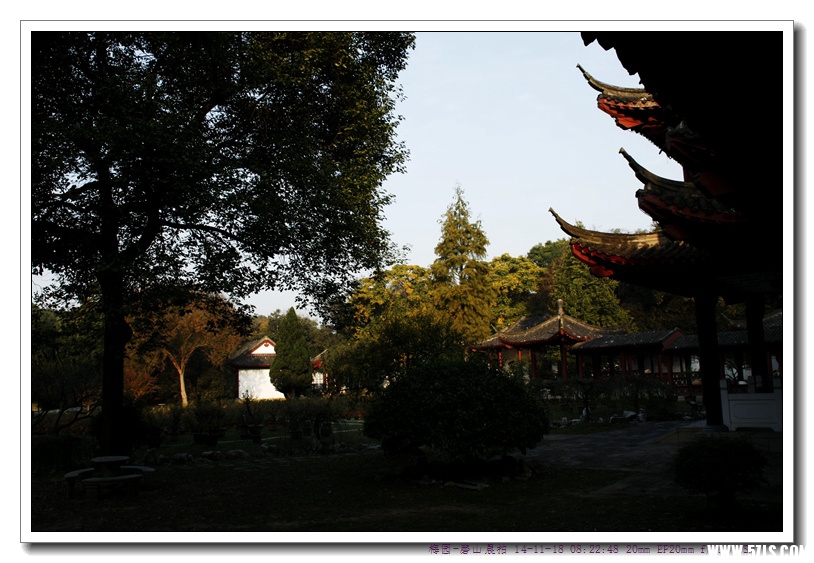_MG_7963_.jpg