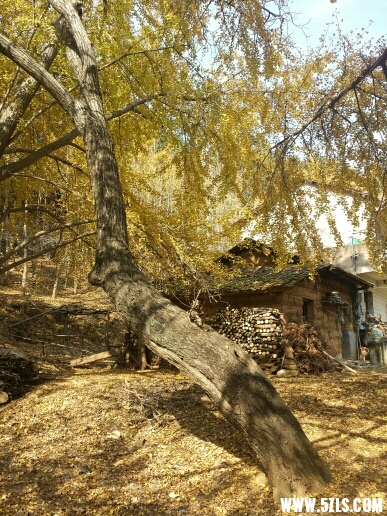 174612mkzjii3om177m1wj.jpg