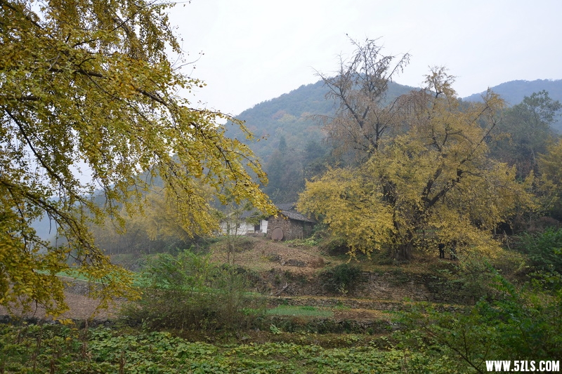OCO_6895_С.jpg