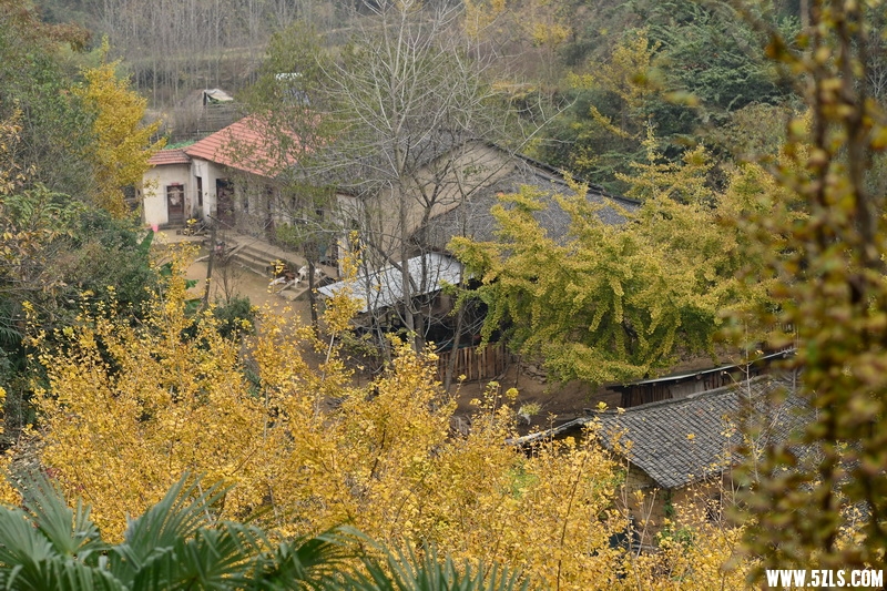 OCO_7066_С.jpg