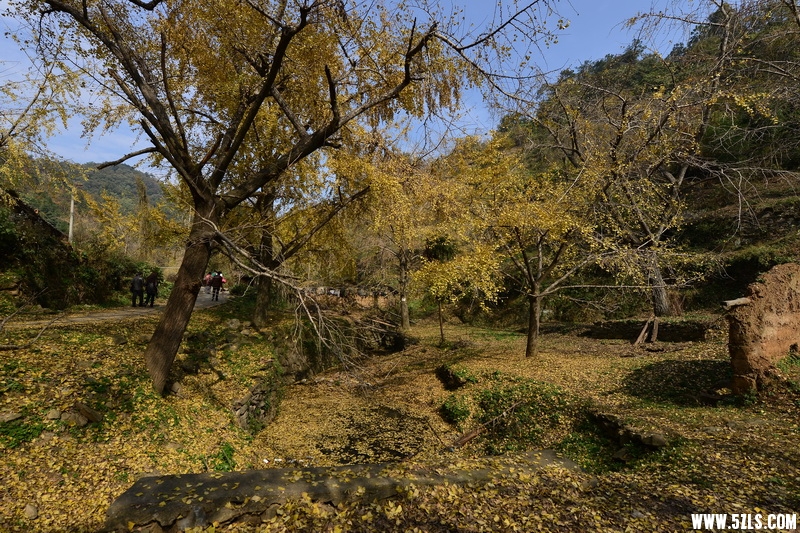 OCO_7355_С.jpg