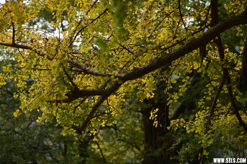 OCO_7450_С.jpg