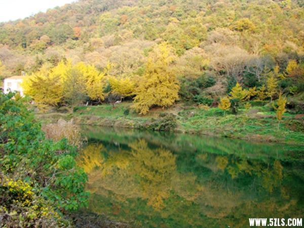 DSC09635007-1_.jpg
