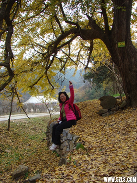 DSC09694046.jpg