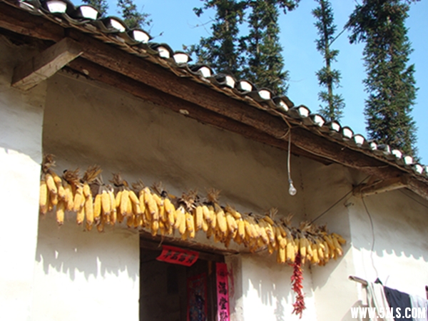 DSC09758081.jpg