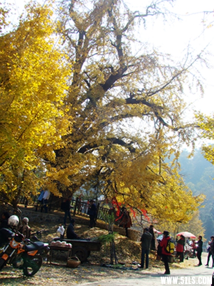 DSC09809103-1_.jpg