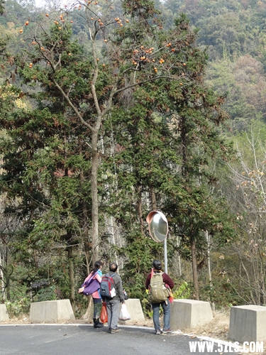 DSC04142_ͼһ_.jpg